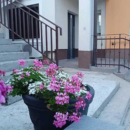 Apartma Zala *